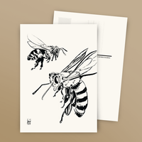 Postcard / Bees